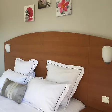 Hotel Alerion Centre Gare 2*
