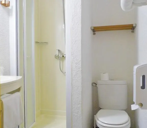 酒店 Alerion Centre Gare 2*