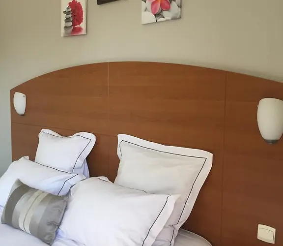 Hotel Alerion Centre Gare 2*