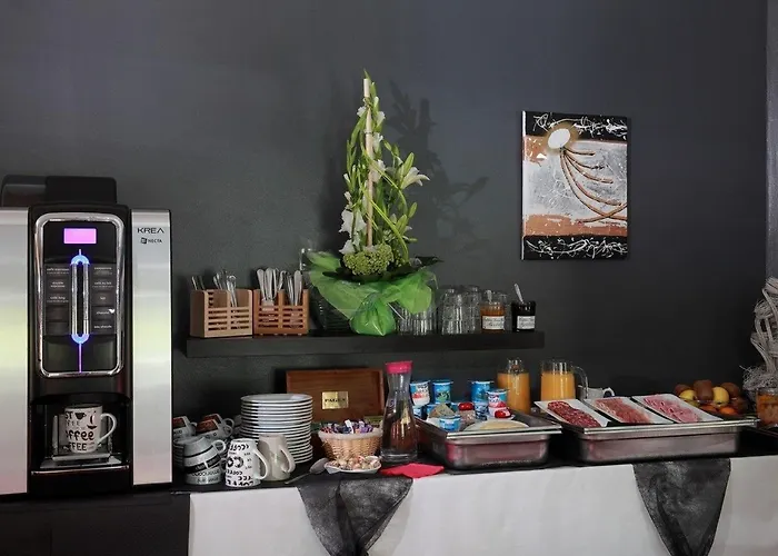 Alerion Centre Gare 酒店 梅斯